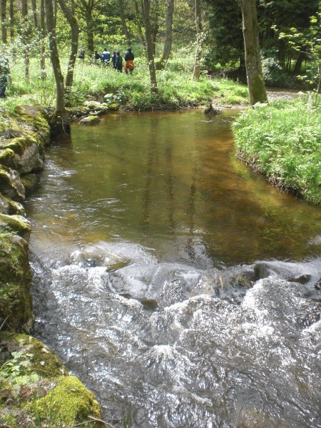 JekaD6OpStapJoost (85)